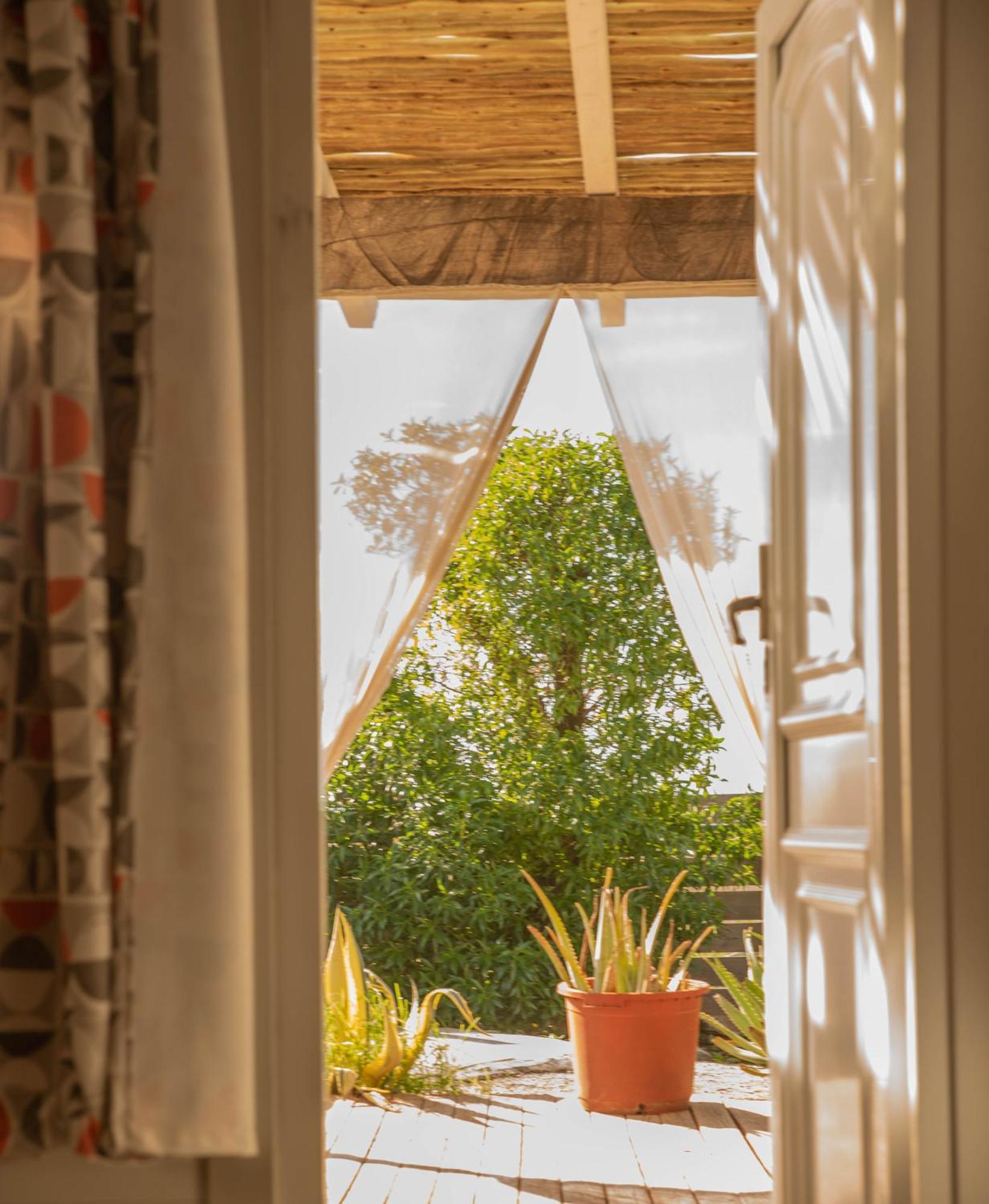 La Cabana A Orillas Del Palmar カディス エクステリア 写真